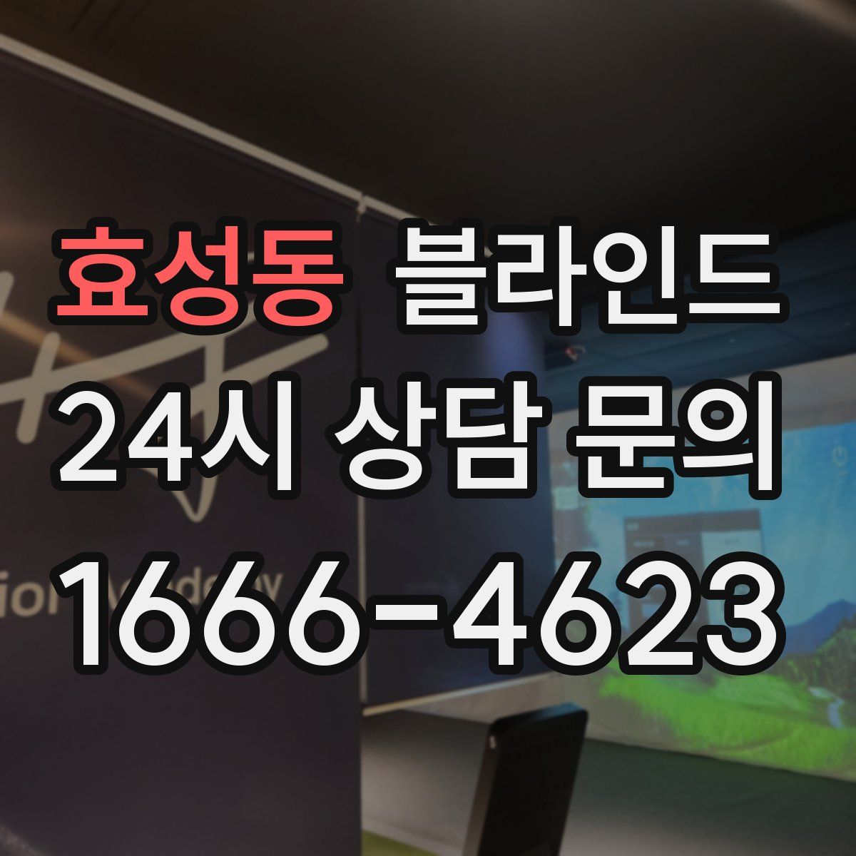 효성동 블라인드