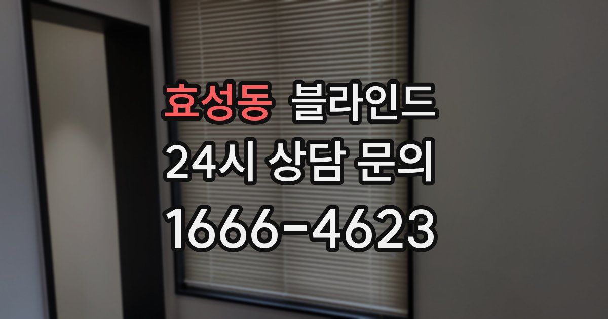 효성동 블라인드