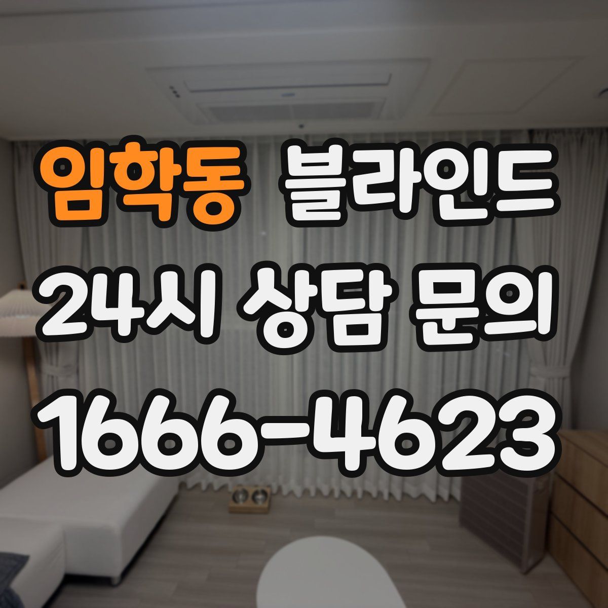 임학동 블라인드