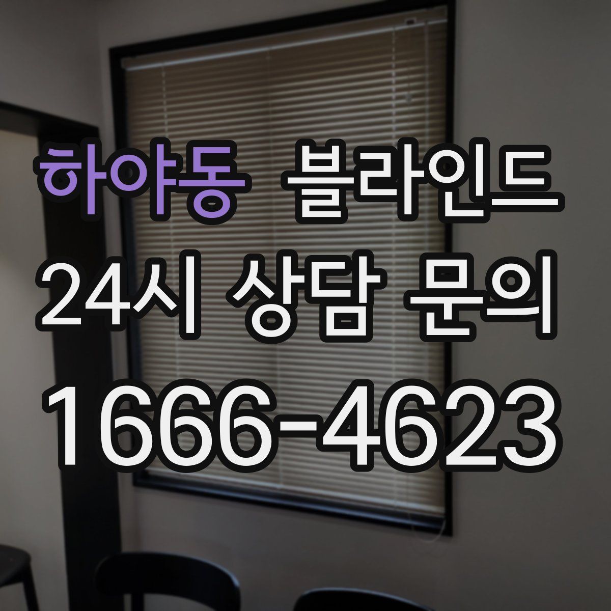 하야동 블라인드