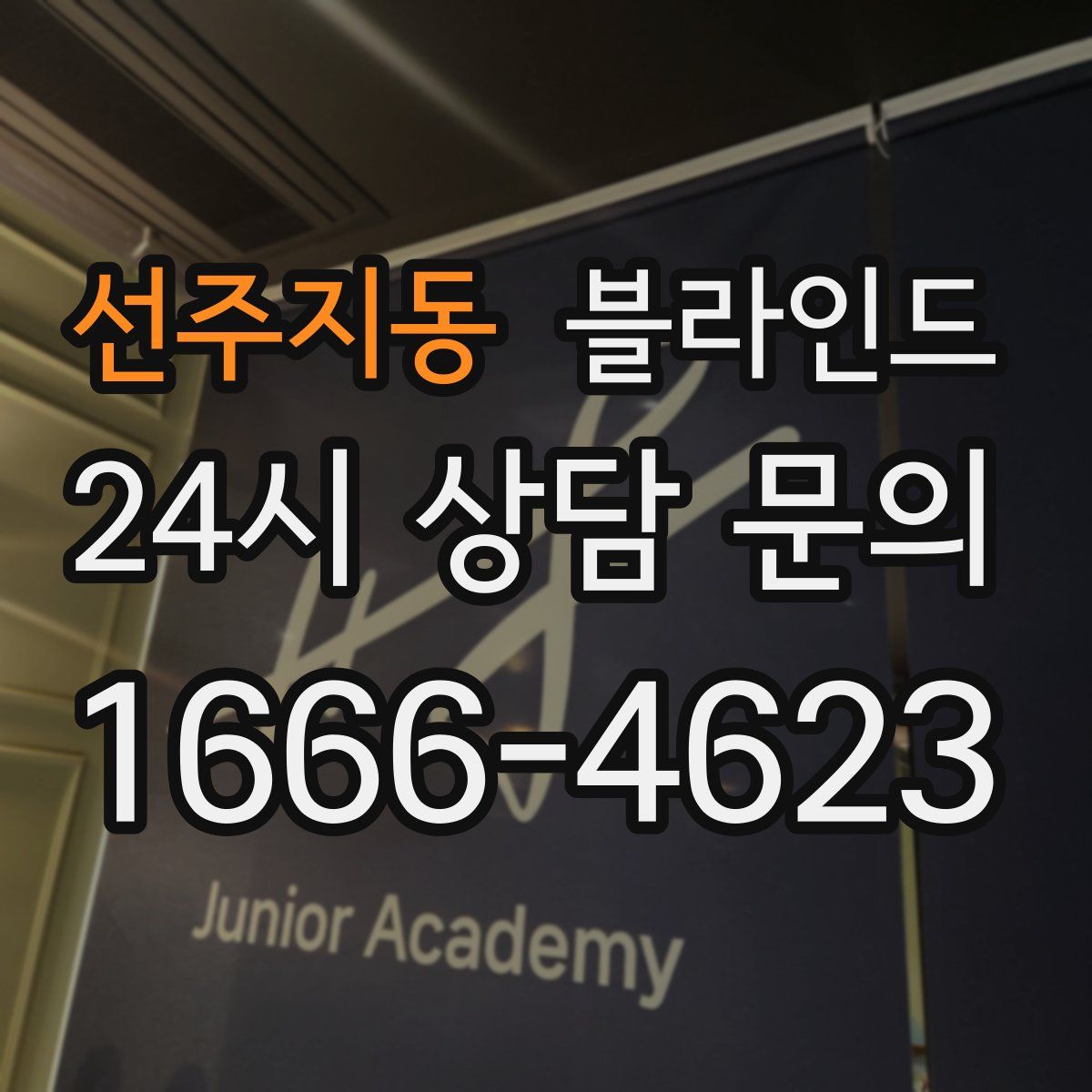 선주지동 블라인드