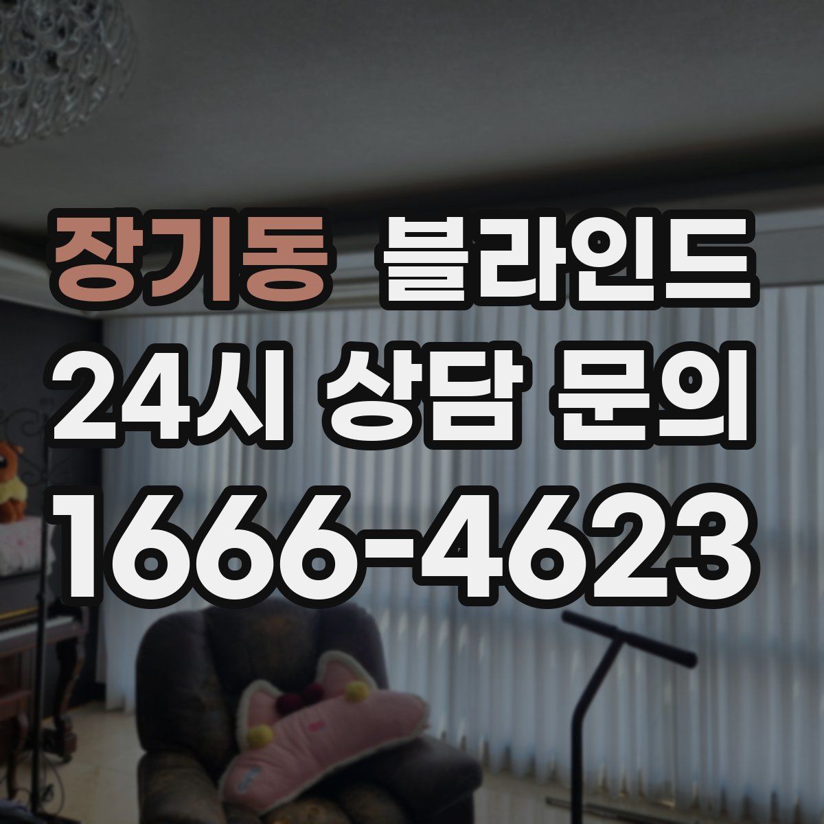 장기동 블라인드