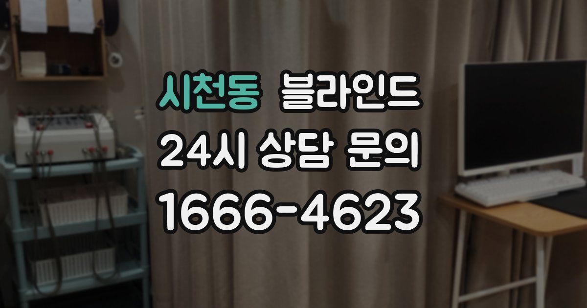 시천동 블라인드