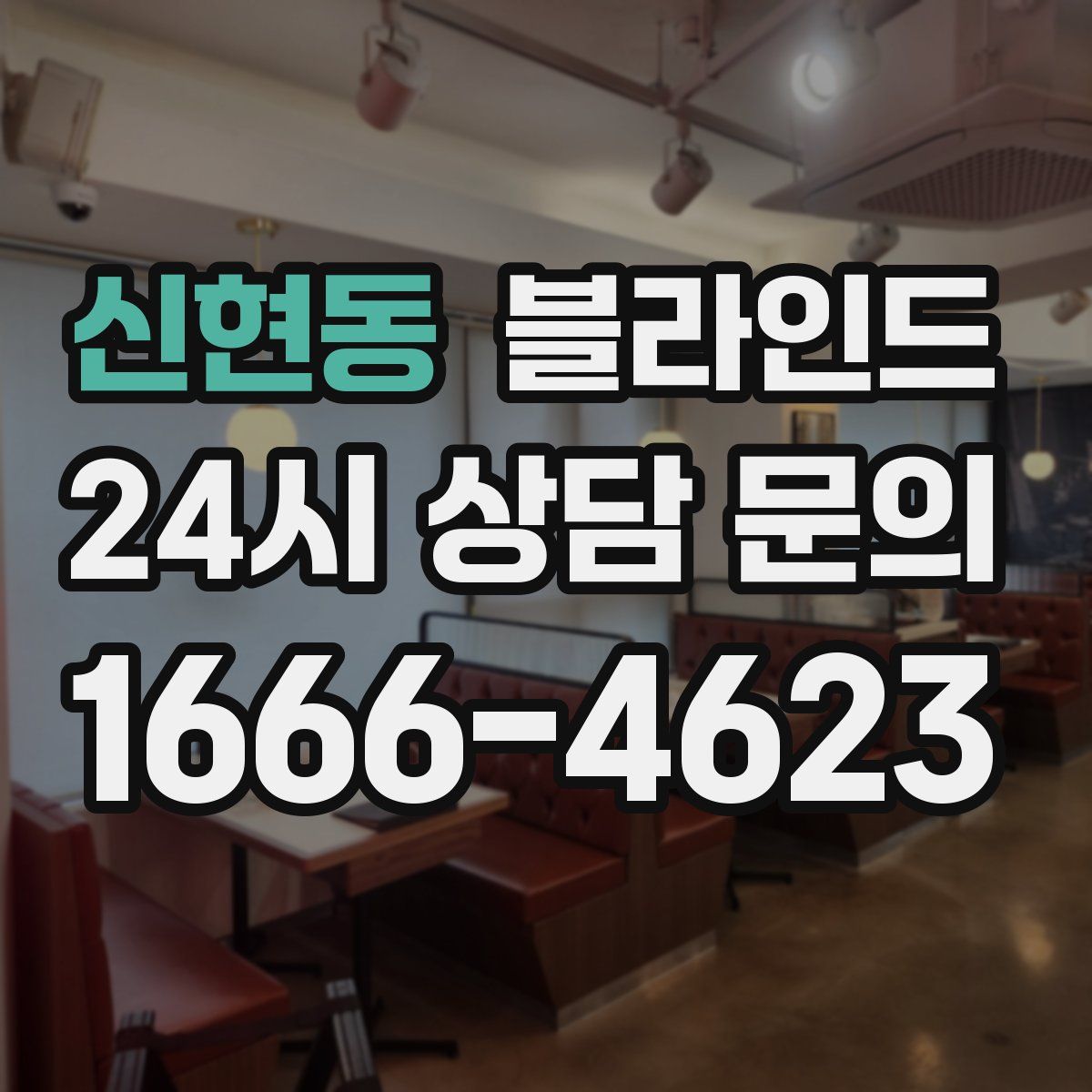 신현동 블라인드