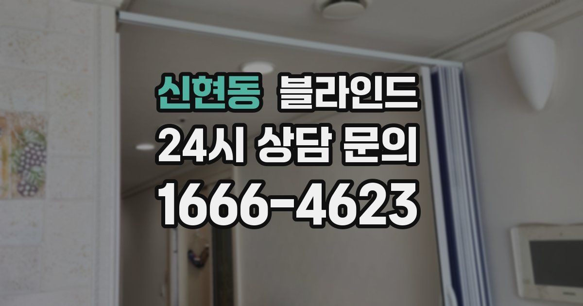 신현동 블라인드