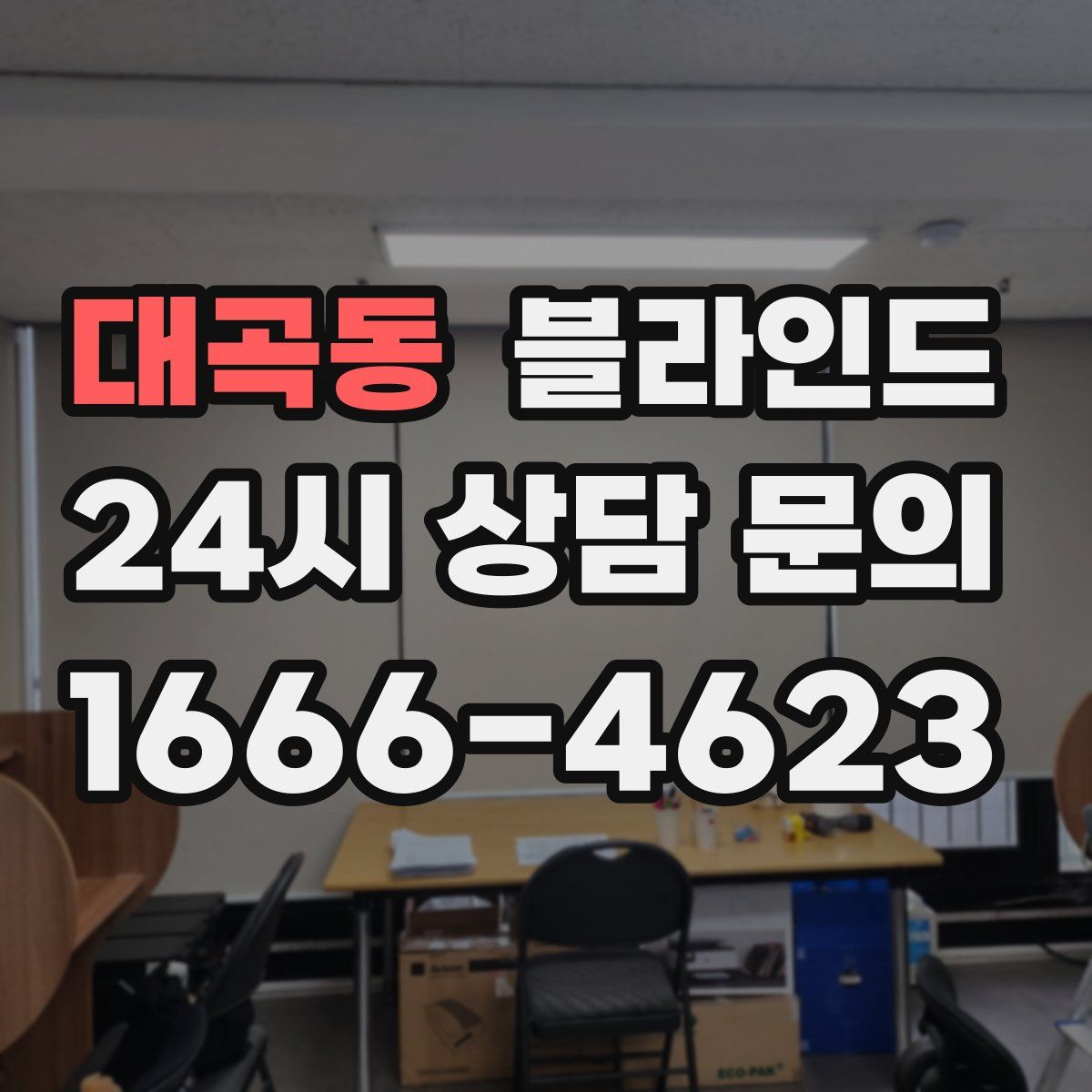 대곡동 블라인드