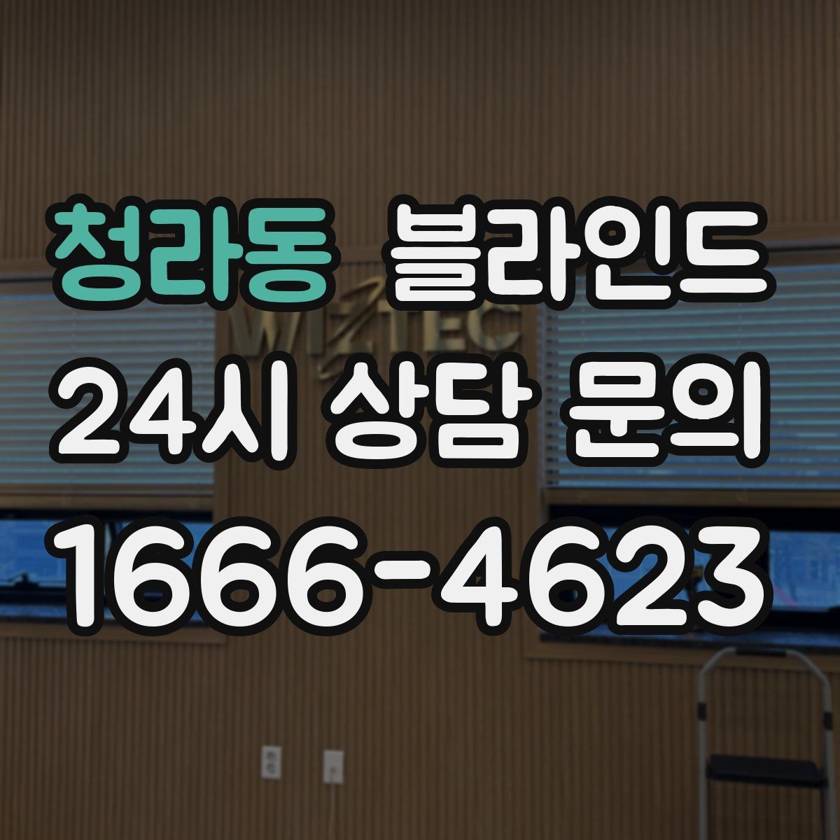 청라동 블라인드