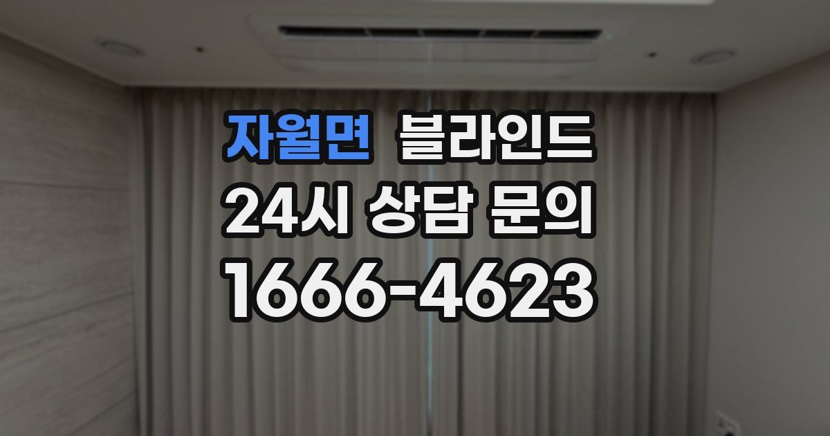 자월면 블라인드