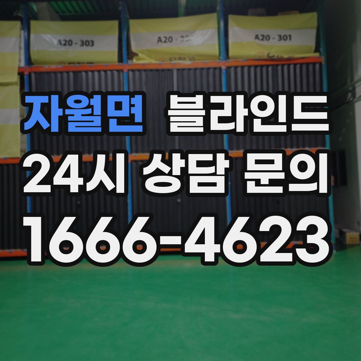 자월면 블라인드