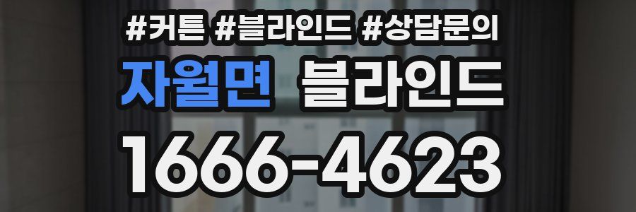 자월면 블라인드
