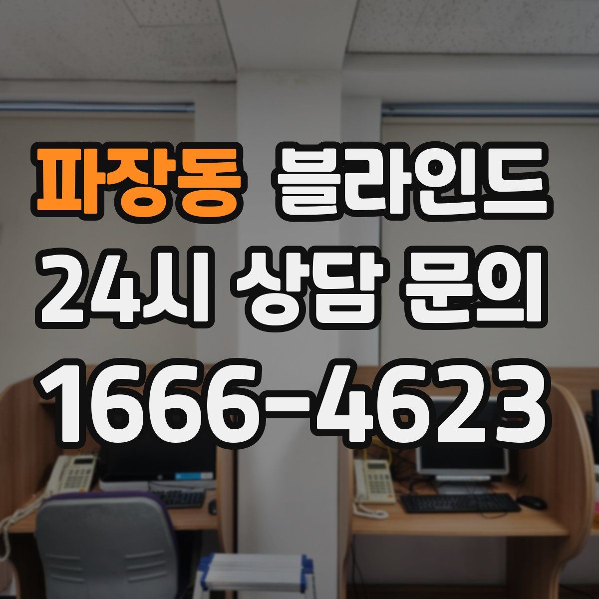 파장동 블라인드