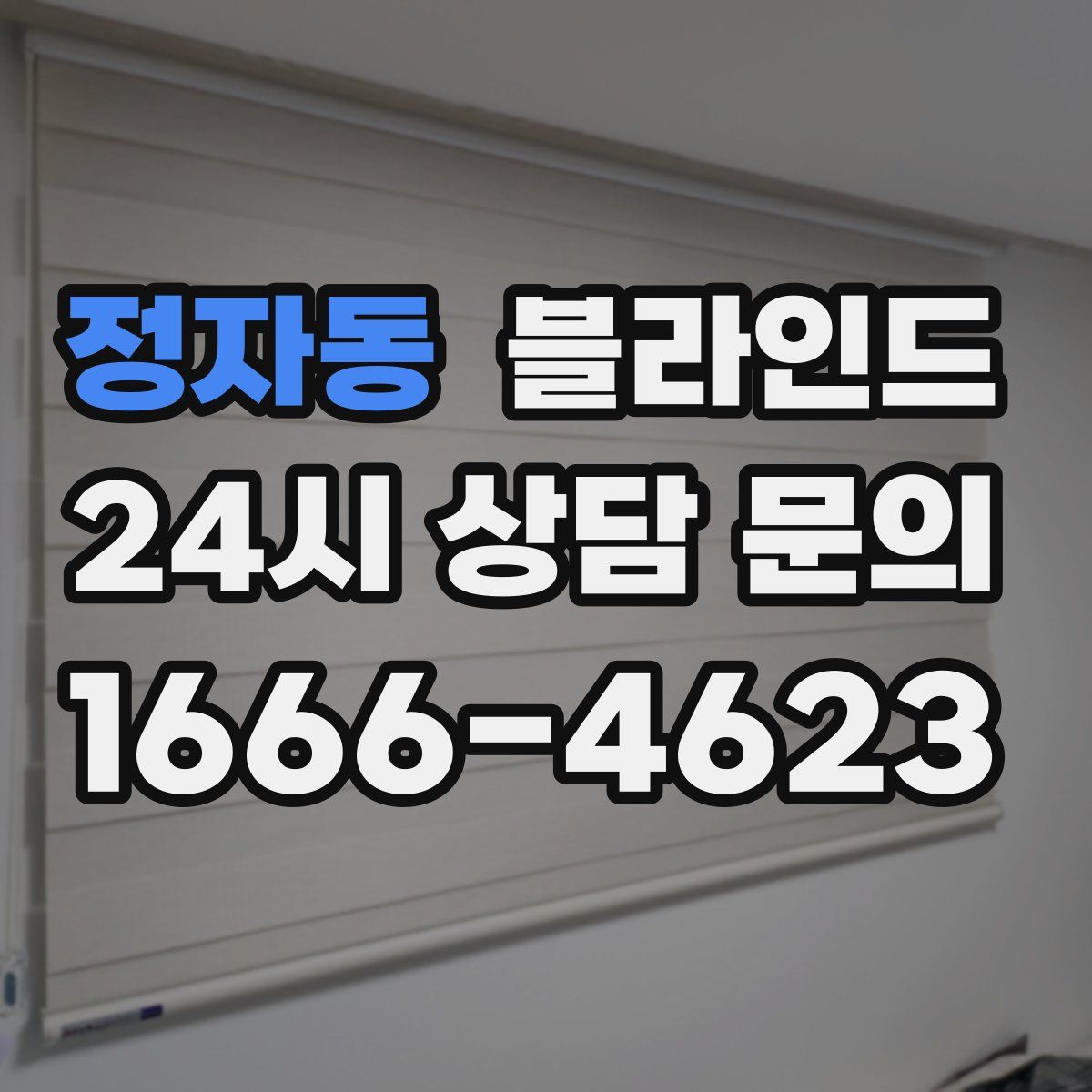 정자동 블라인드