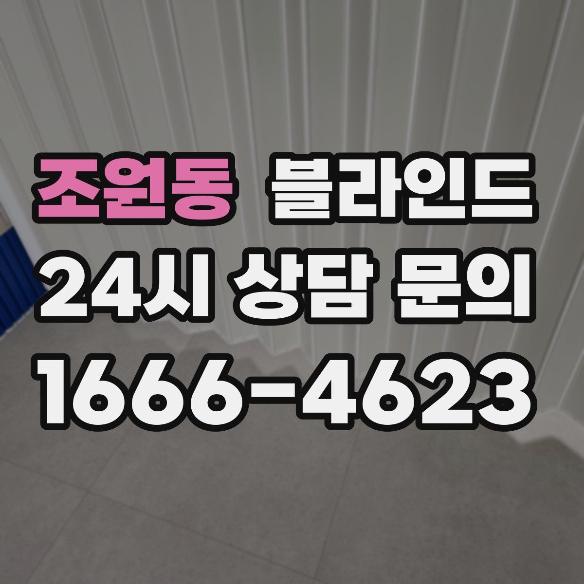 조원동 블라인드