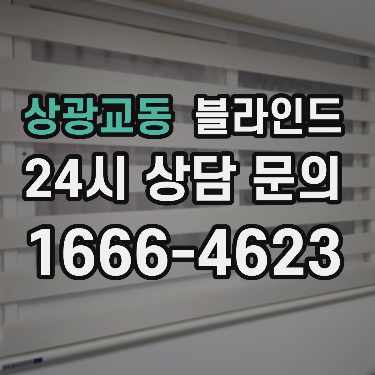 상광교동 블라인드