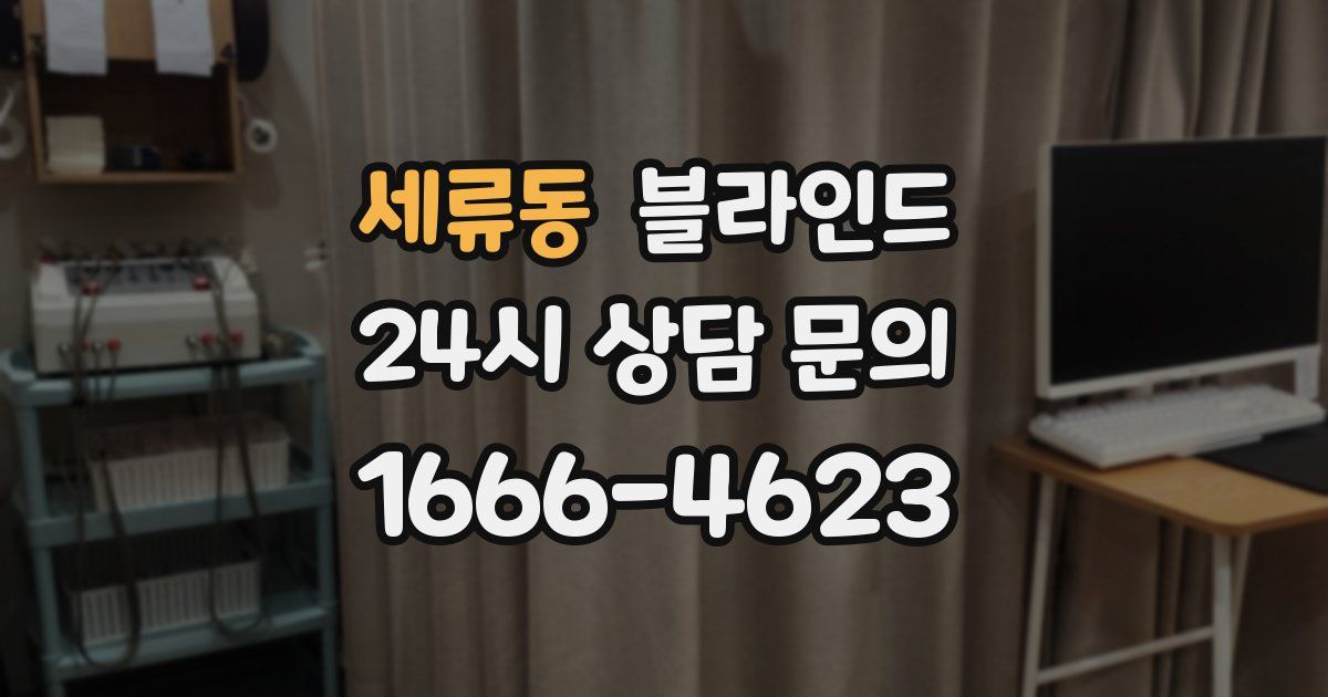세류동 블라인드