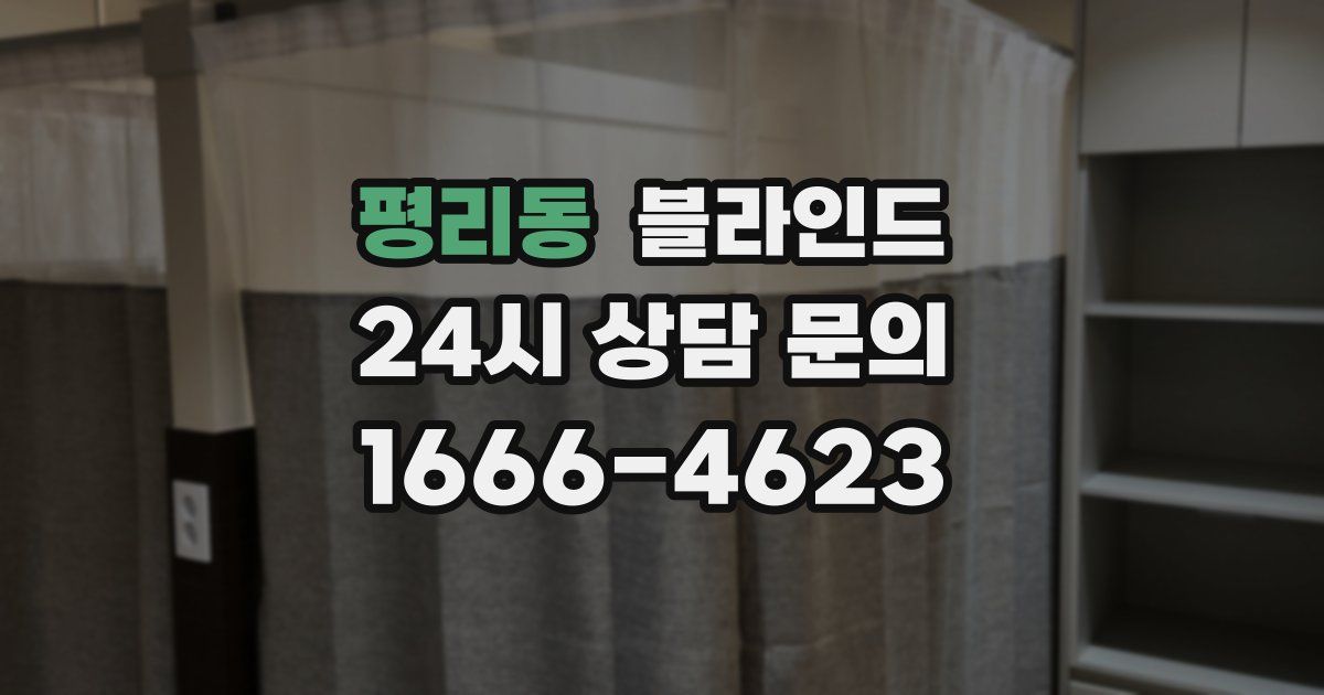 평리동 블라인드