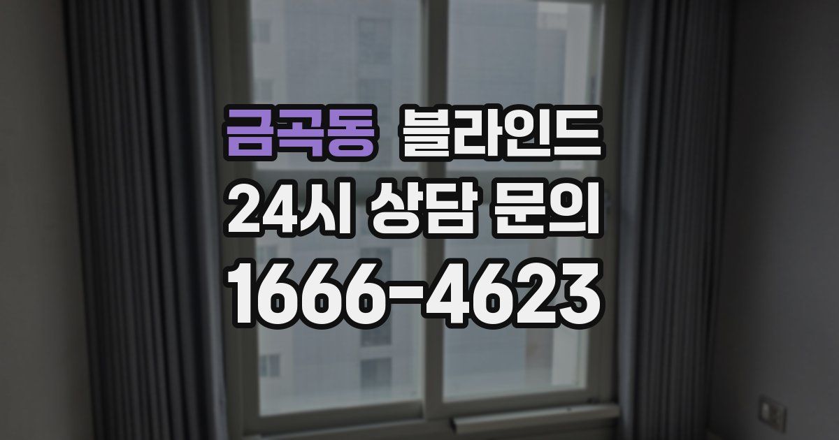 금곡동 블라인드