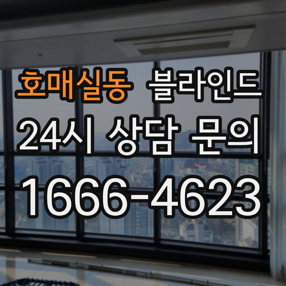 호매실동 블라인드