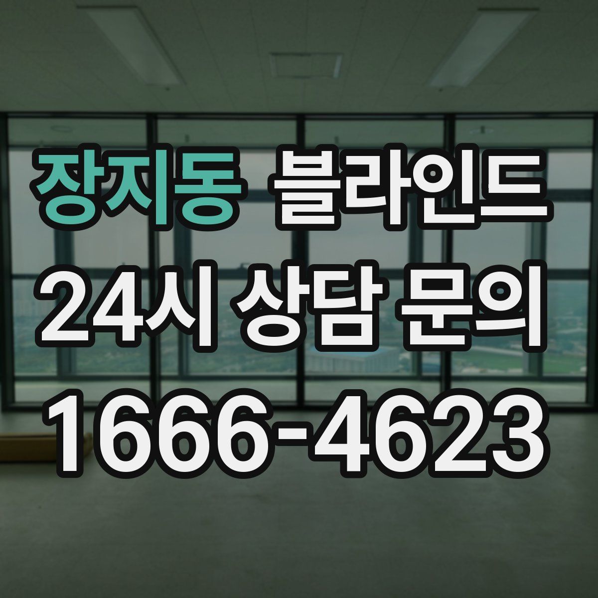 장지동 블라인드