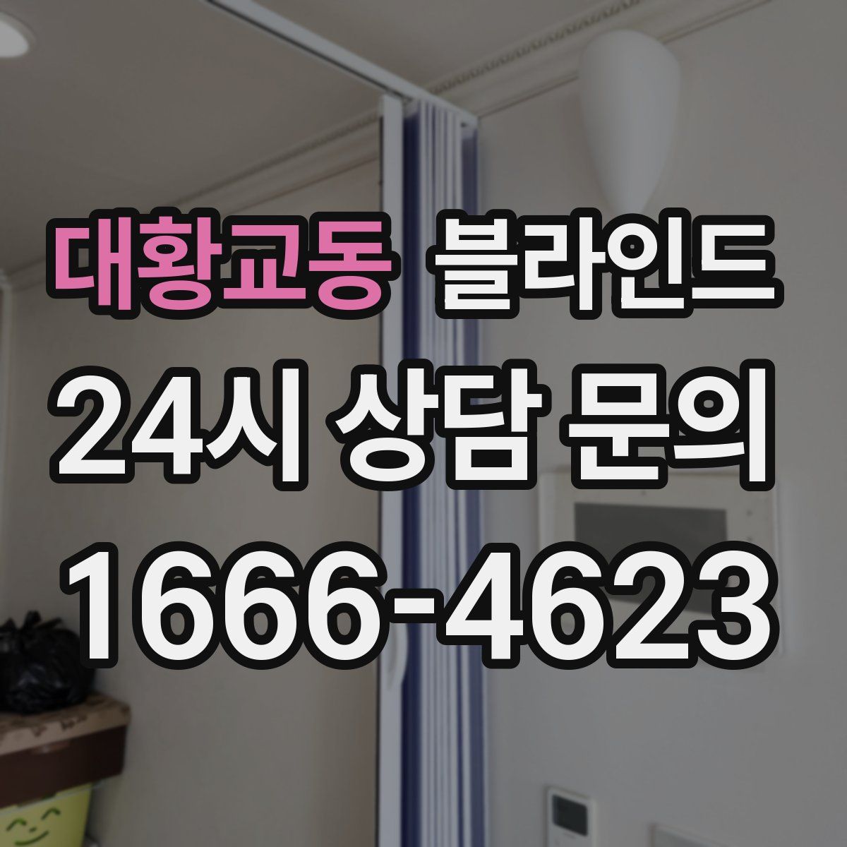 대황교동 블라인드