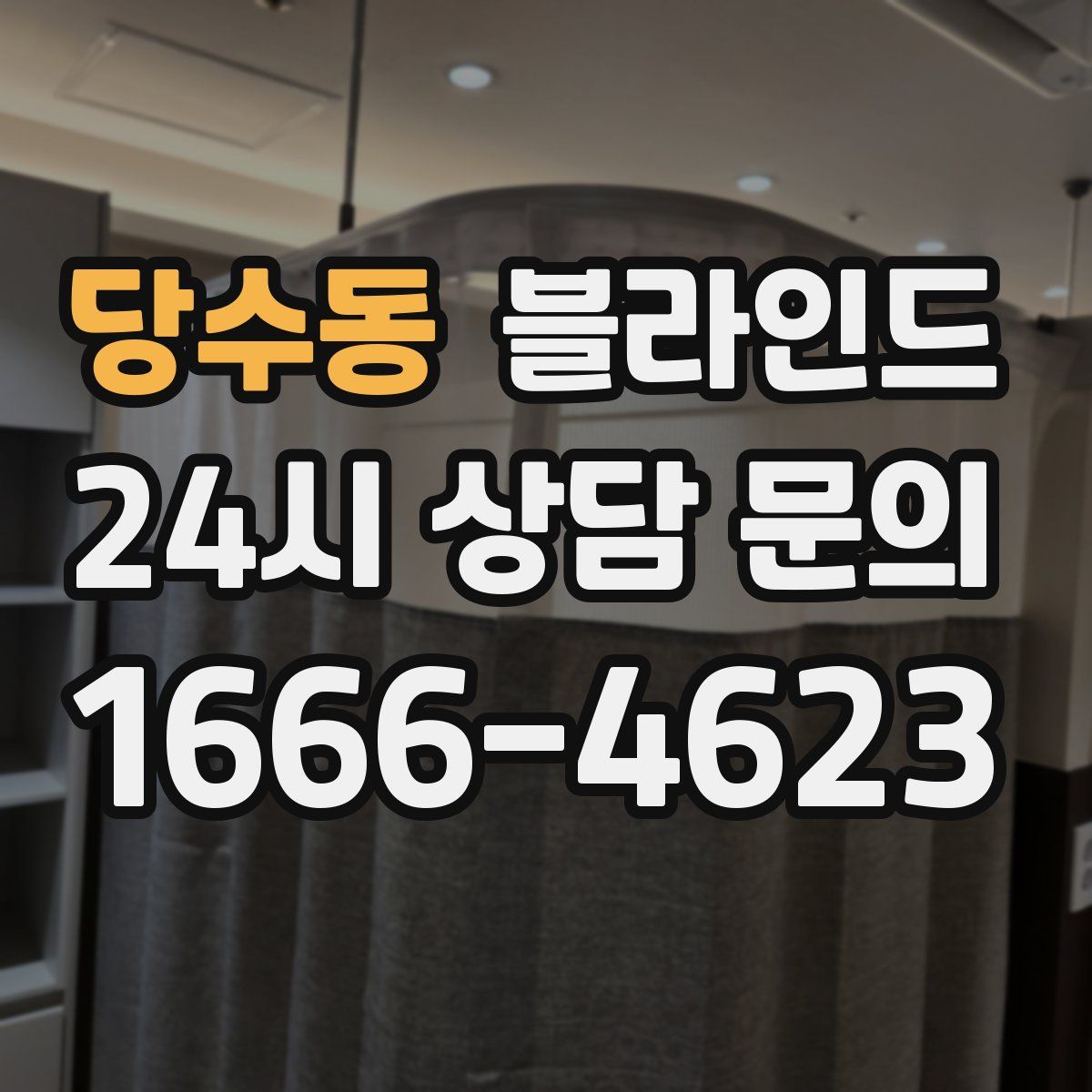당수동 블라인드
