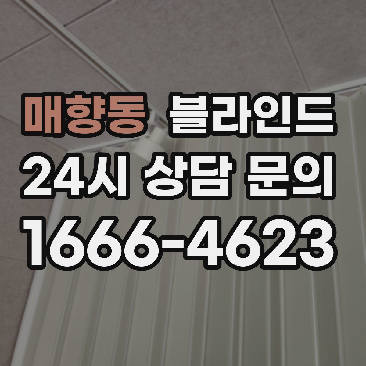 매향동 블라인드