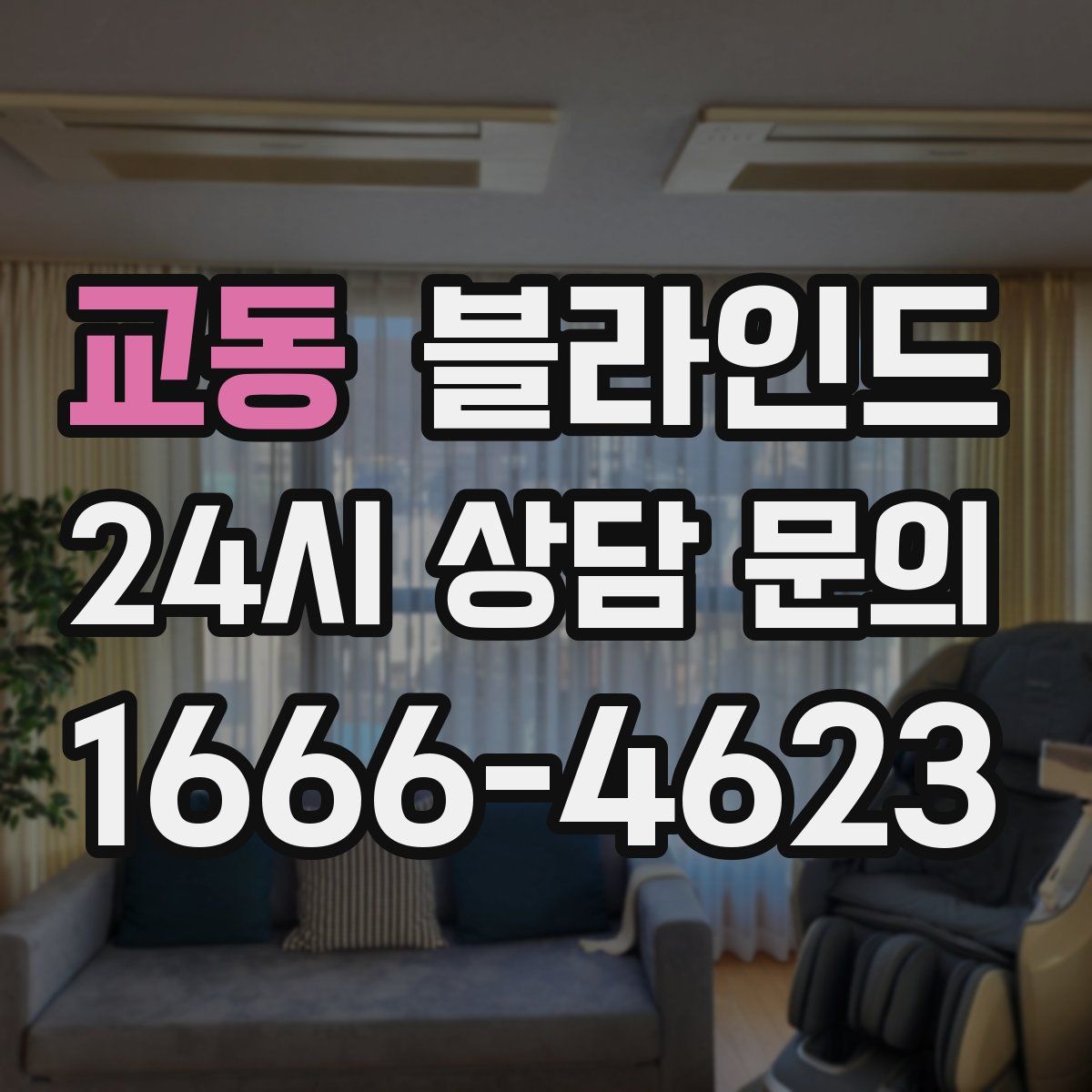 교동 블라인드