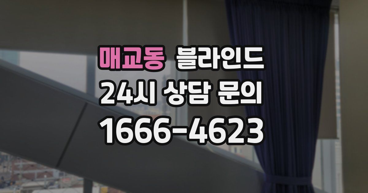 매교동 블라인드