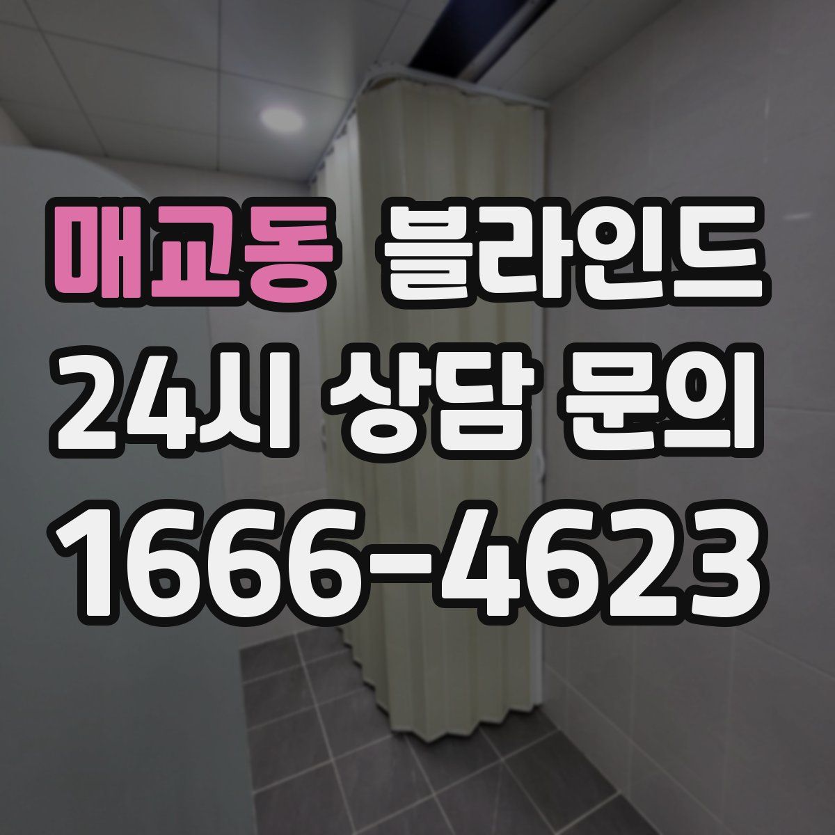 매교동 블라인드