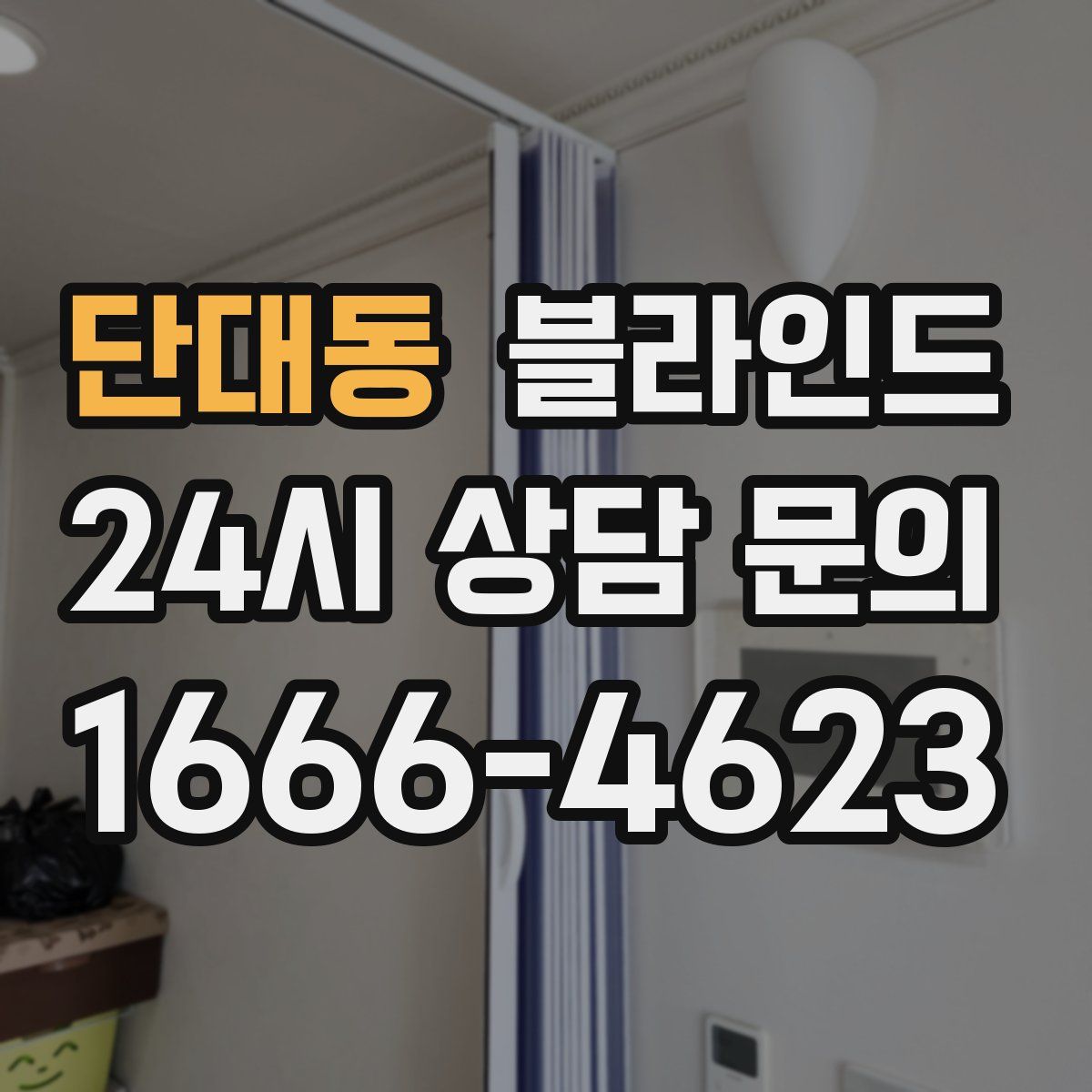 단대동 블라인드