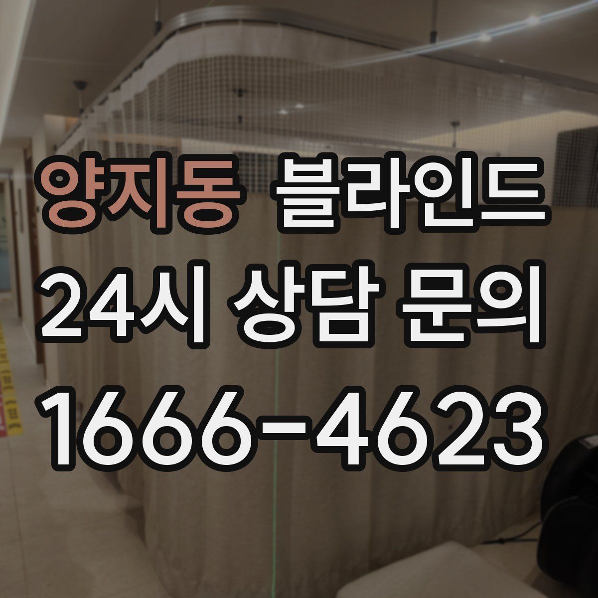 양지동 블라인드