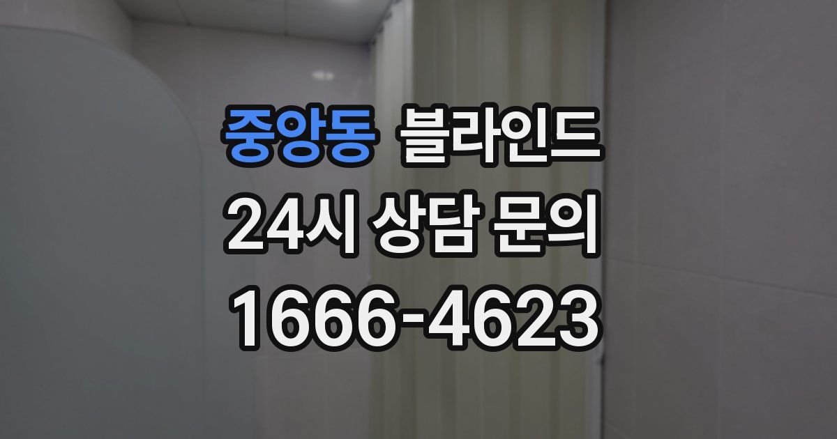 중앙동 블라인드