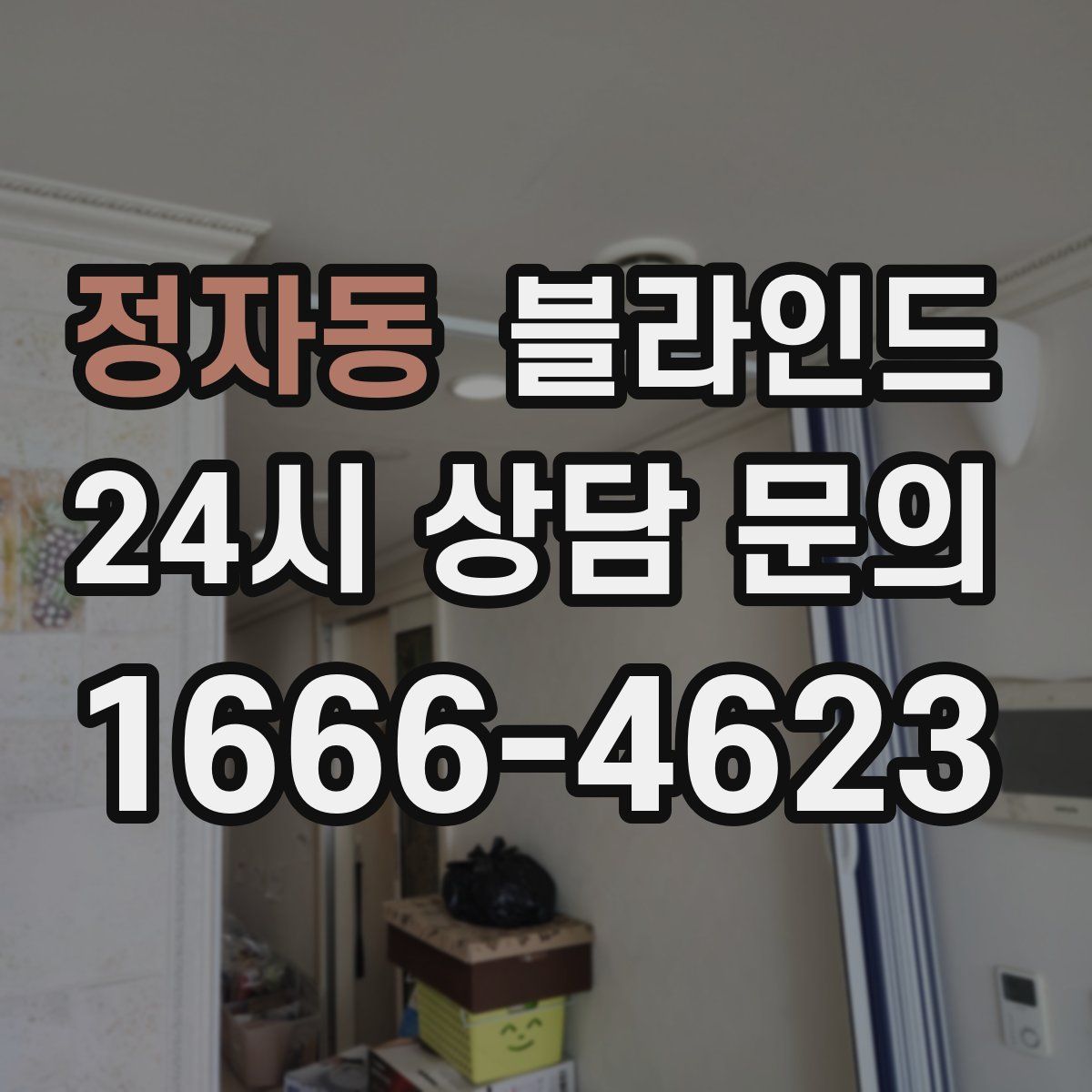 정자동 블라인드