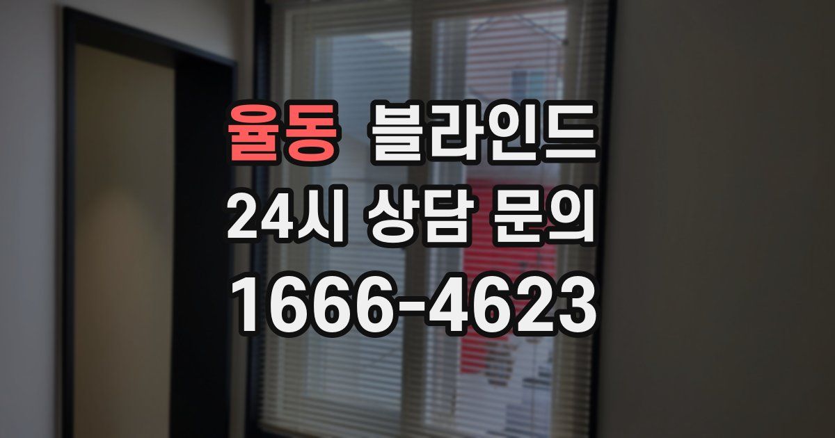 율동 블라인드