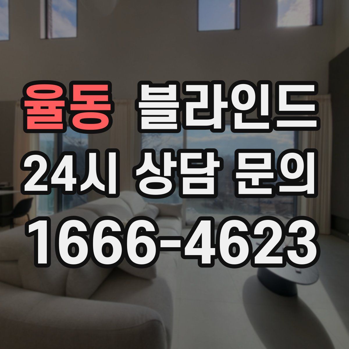 율동 블라인드