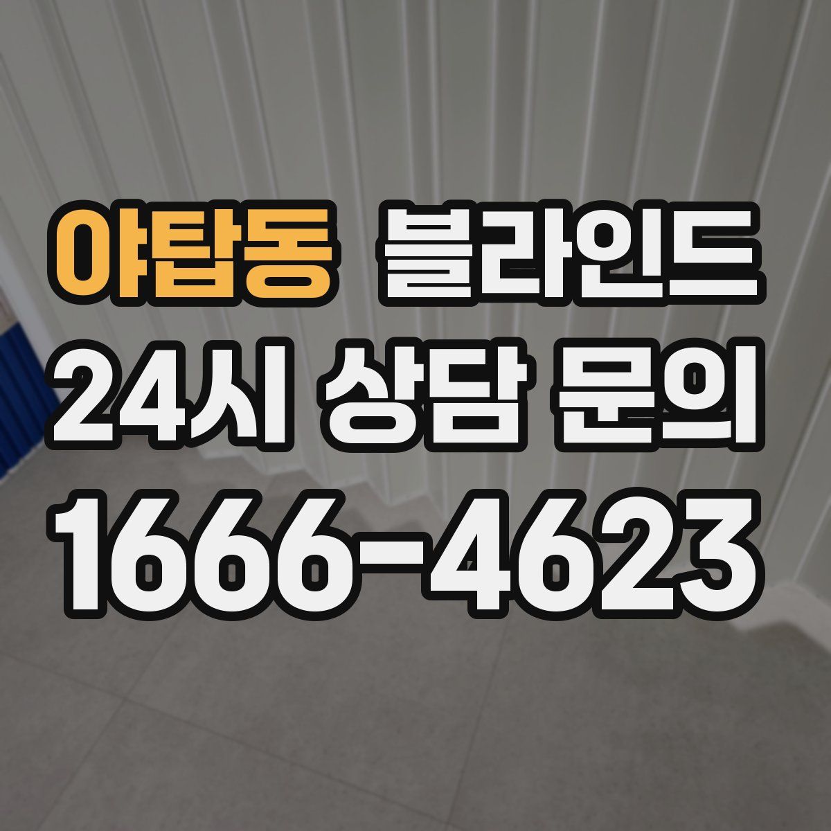 야탑동 블라인드