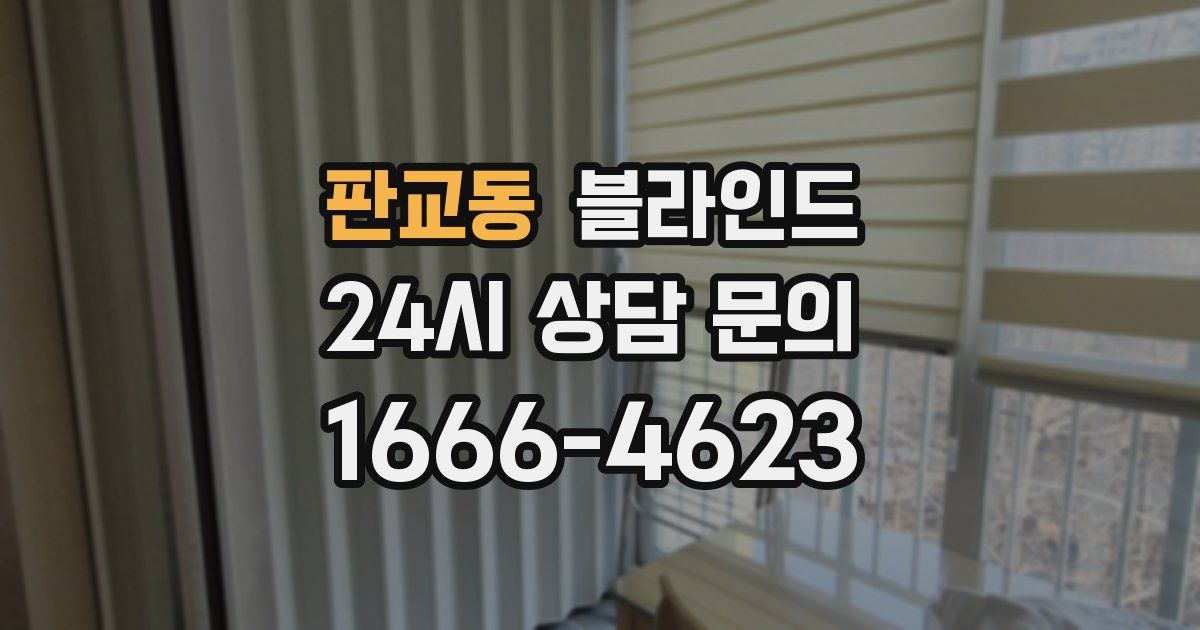 판교동 블라인드