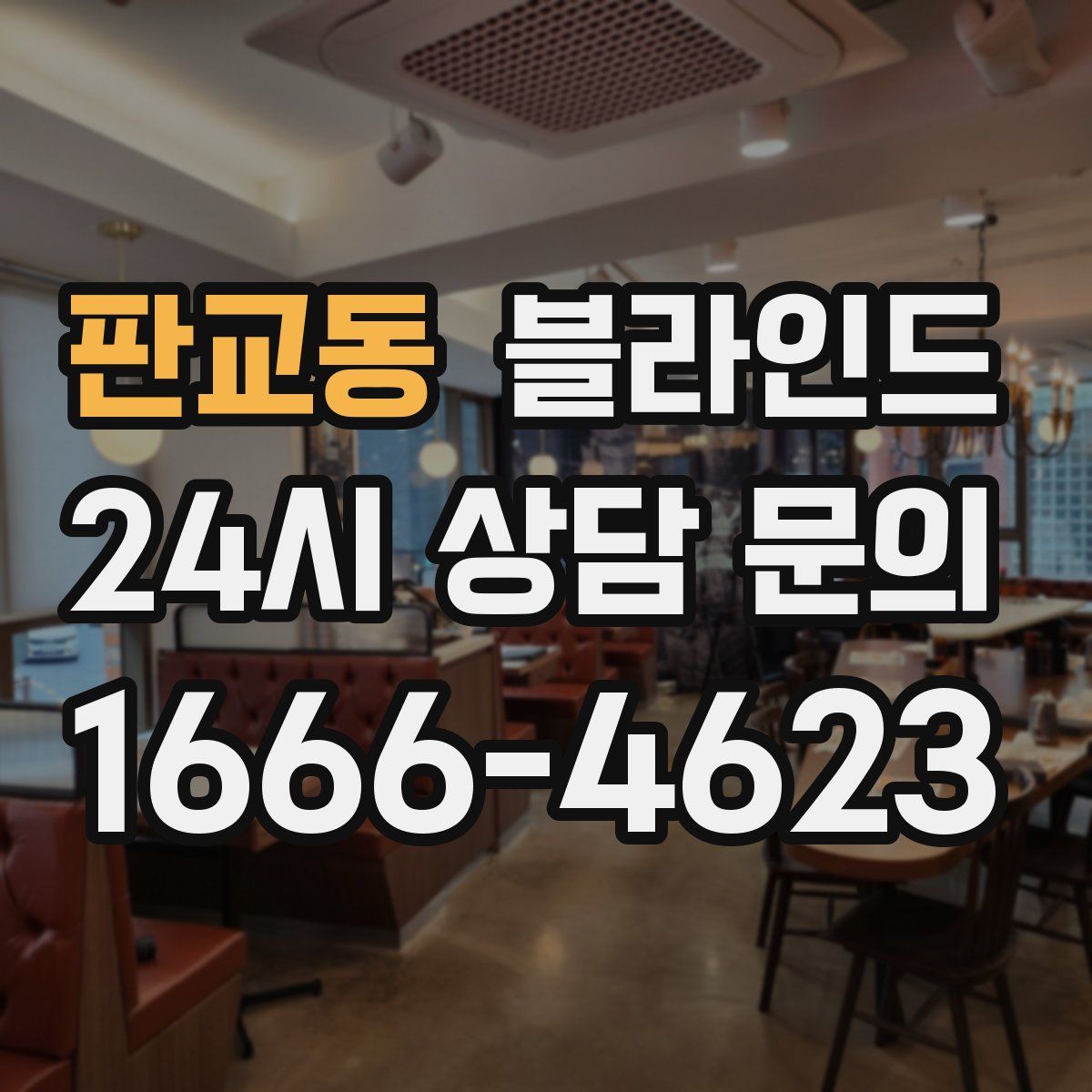 판교동 블라인드