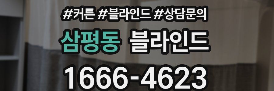 삼평동 블라인드