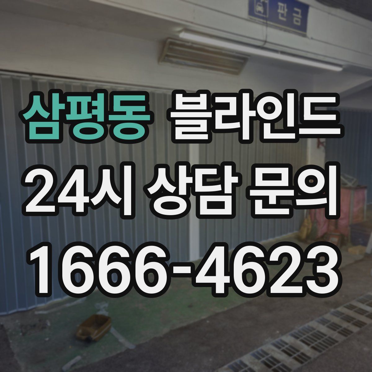 삼평동 블라인드