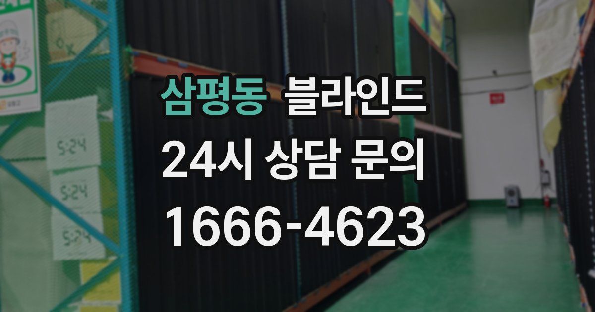 삼평동 블라인드