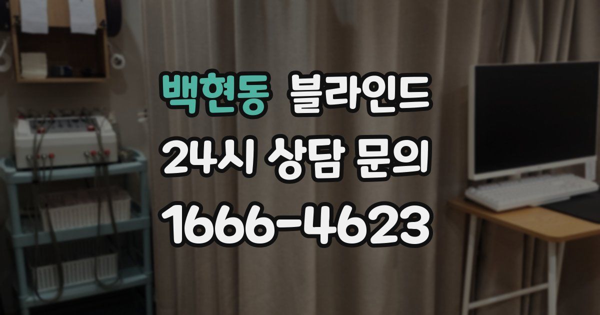 백현동 블라인드