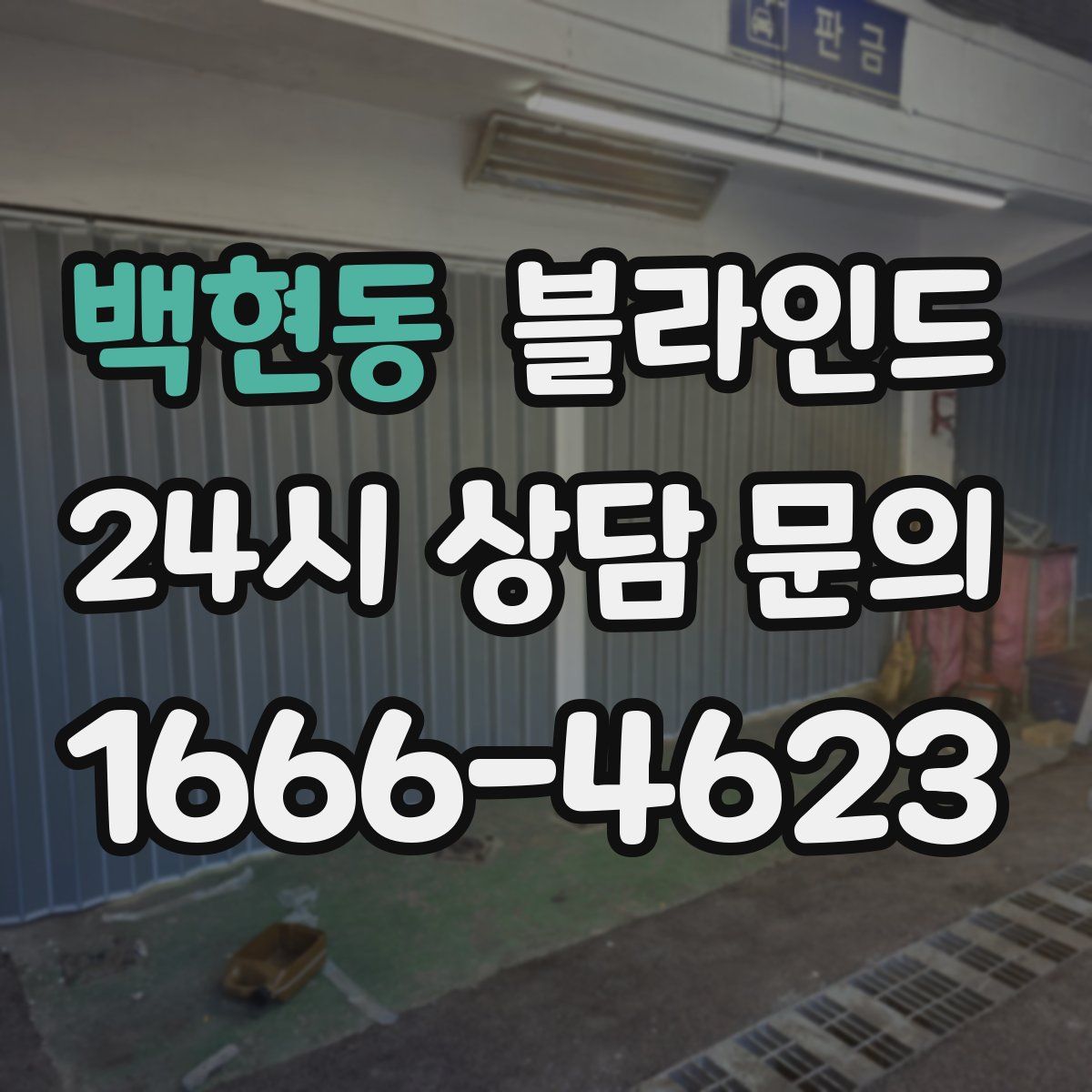백현동 블라인드