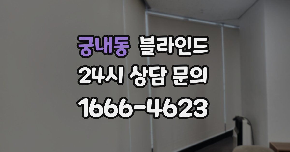 궁내동 블라인드