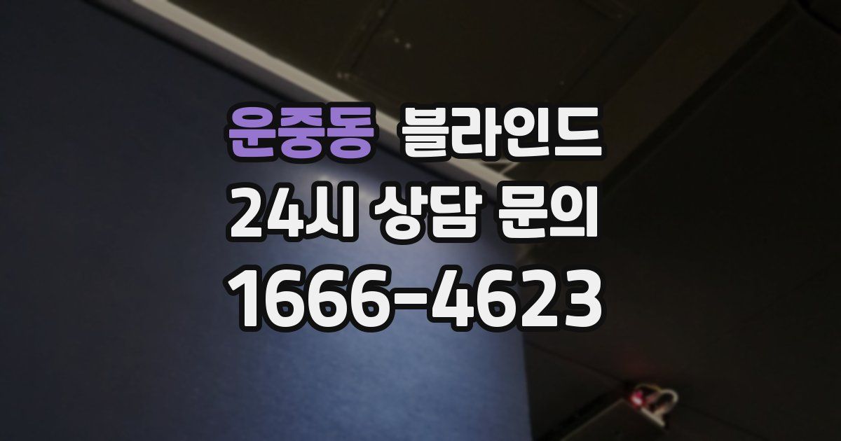 운중동 블라인드