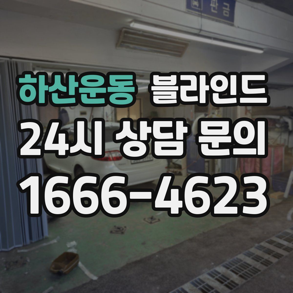 하산운동 블라인드