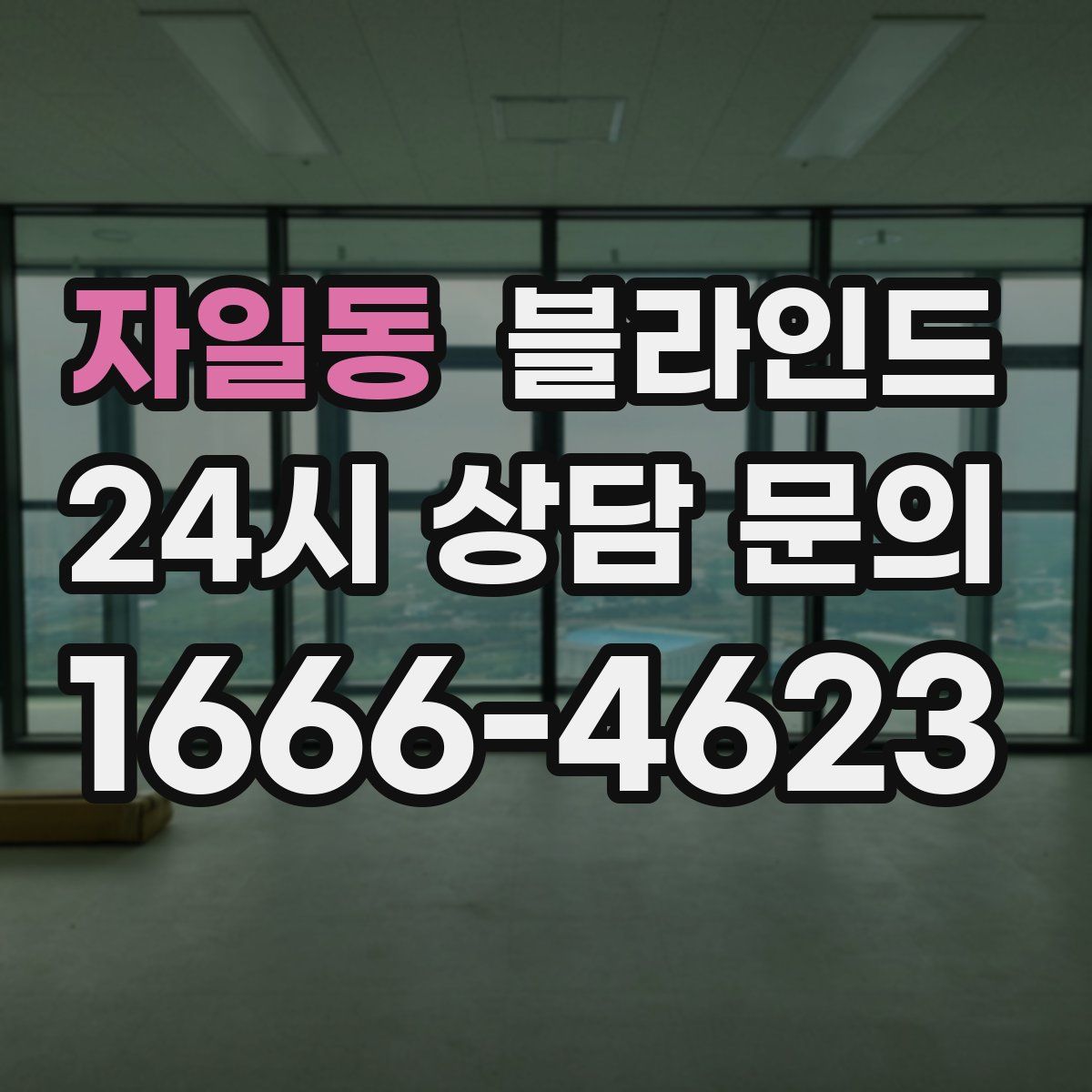 자일동 블라인드
