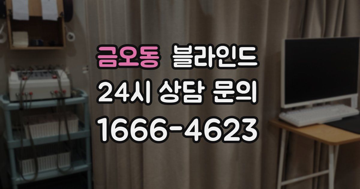 금오동 블라인드