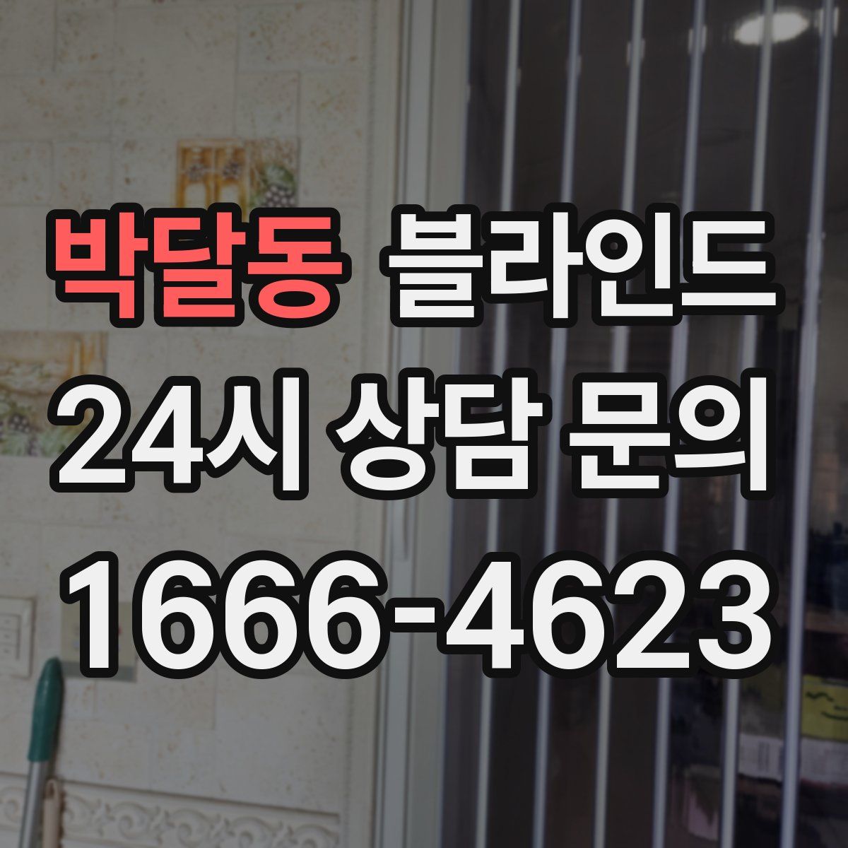 박달동 블라인드