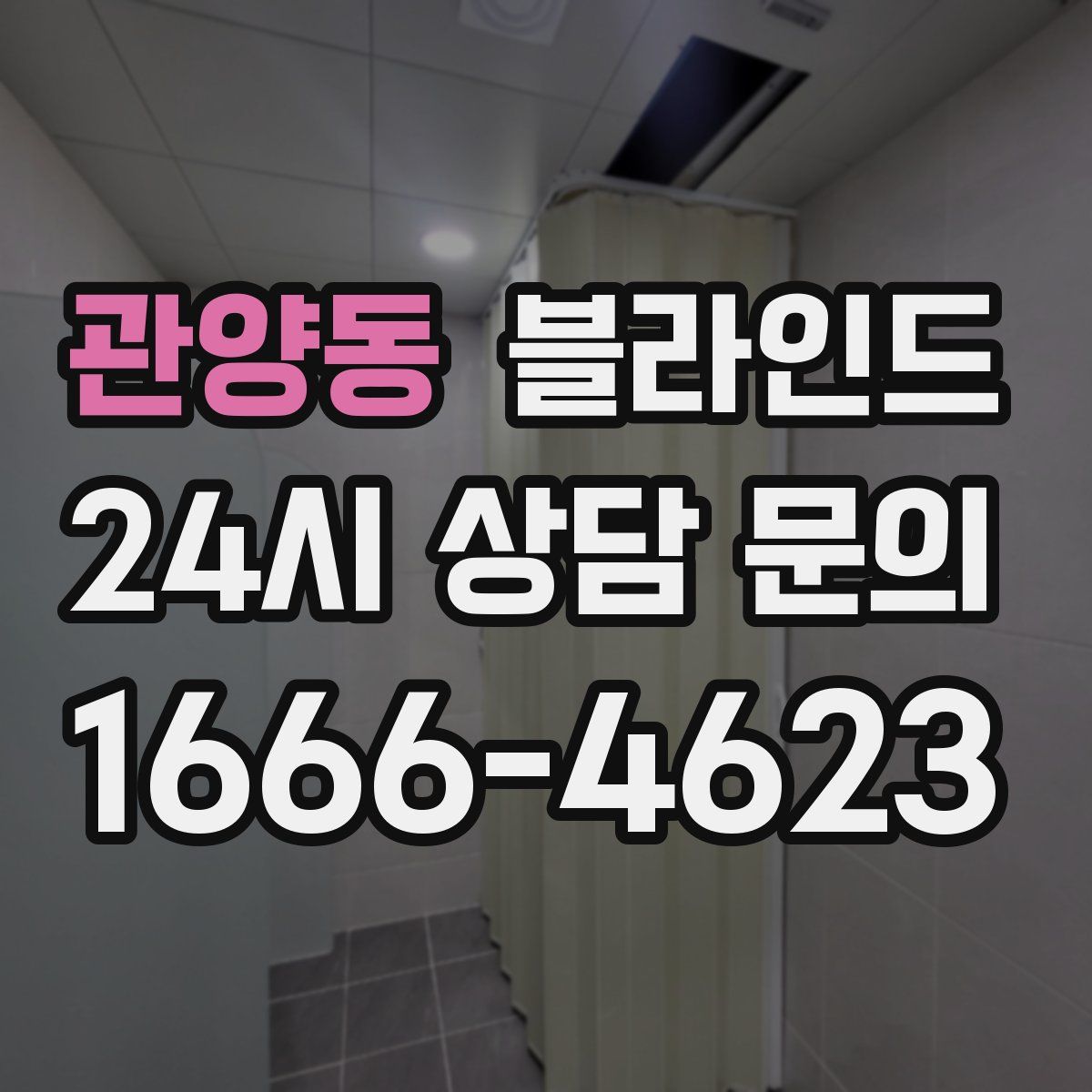 관양동 블라인드